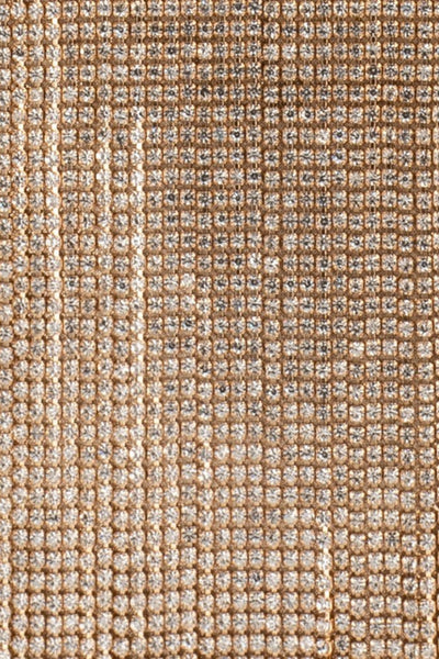 Billie Crystal Fringe Bag - Champagne