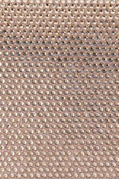 Cara Crystal Envelope Clutch - Champagne