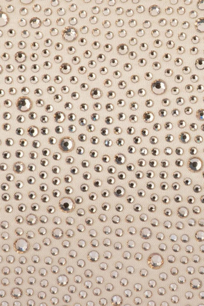 Carolina Crystal Clutch - Champagne