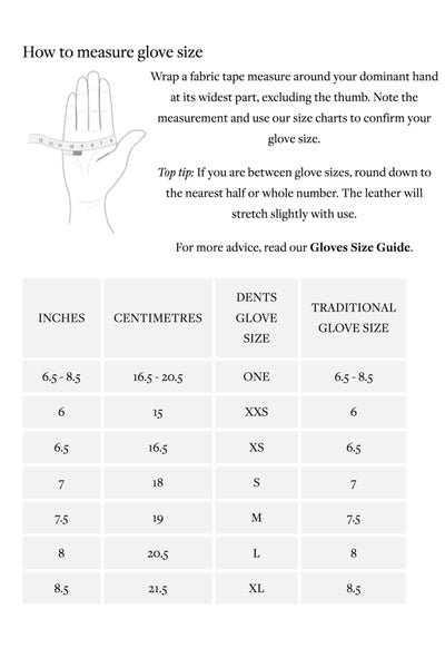 Charlotte Extra Long Satin Opera Gloves - Black