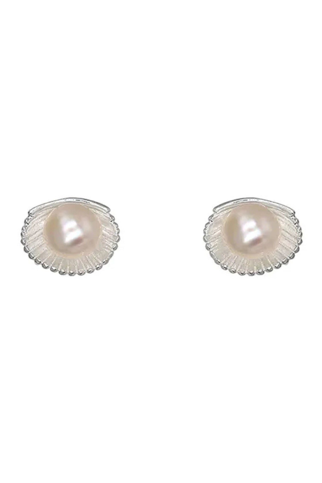 Shell Freshwater Pear Earrings - Silver