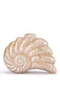 Indi Acrylic Shell Clutch - Natural