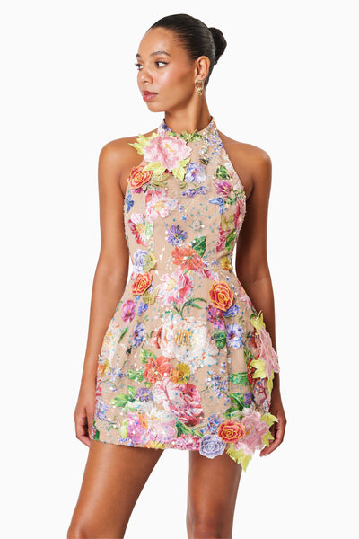 Meadowhawk Sequin Mini Dress