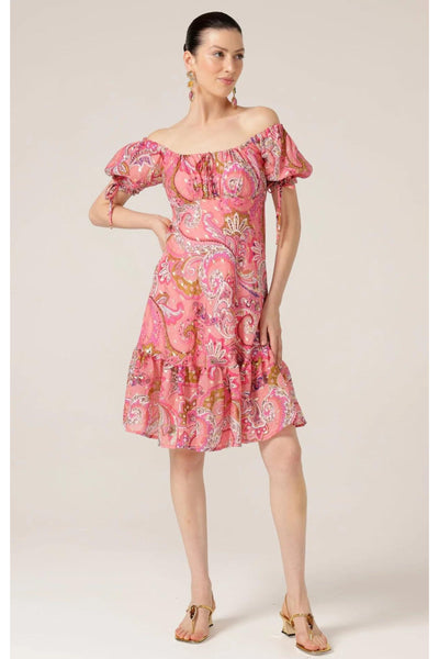 Rosy Finch Dress - Pink Paisley