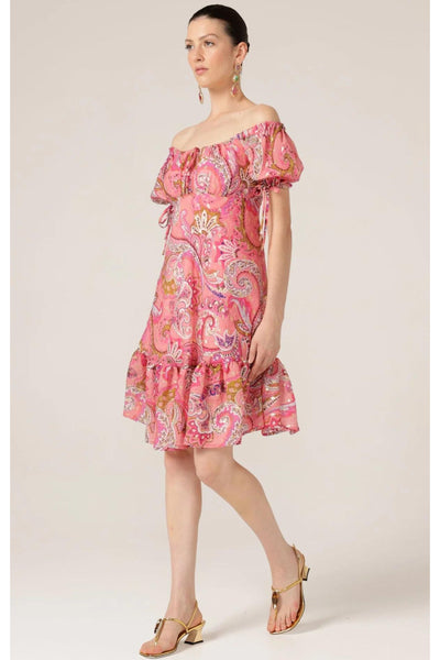 Rosy Finch Dress - Pink Paisley