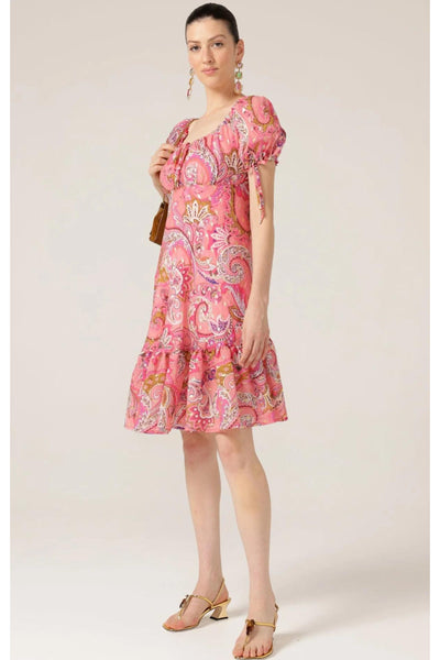 Rosy Finch Dress - Pink Paisley