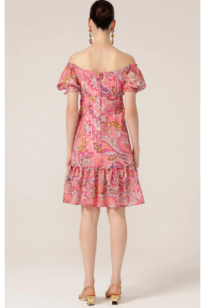 Rosy Finch Dress - Pink Paisley