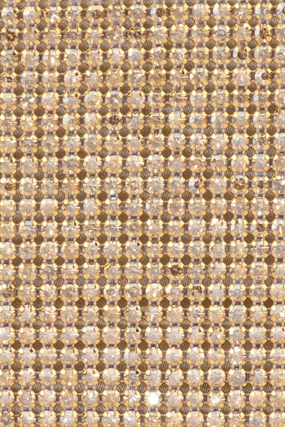 Stef Crystal Box Clutch - Gold