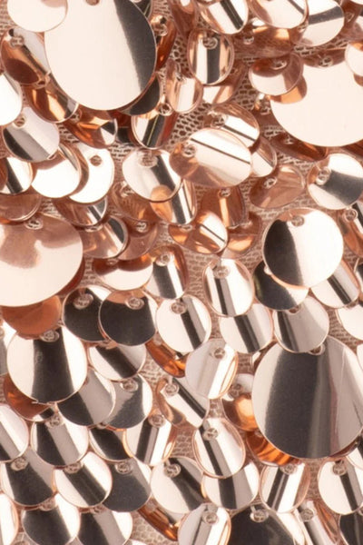 Vera Sequin Top Handel - Blush