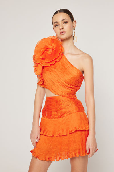 Ideals Mini Dress - Orange
