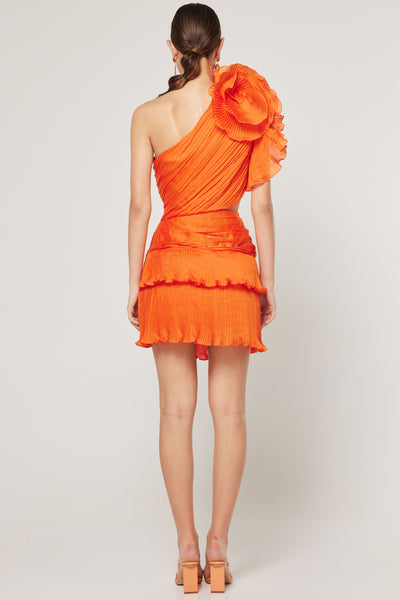 Ideals Mini Dress - Orange