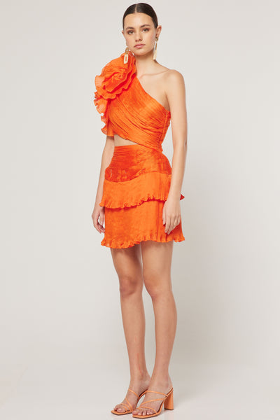 Ideals Mini Dress - Orange